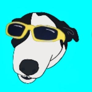 Meet your Posher, Cara